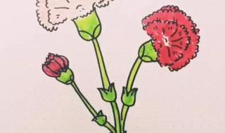 母亲节画什么画给妈妈 母亲节画什么画给妈妈