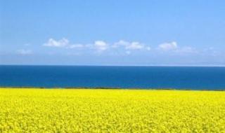 我要去青海 我要去青海