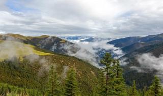 四川自然保护区 四川自然保护区