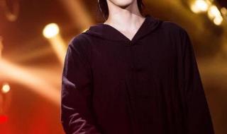 我是歌手第十一期