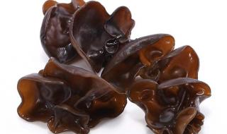 木耳的香气行家啊 木耳的香气行家啊