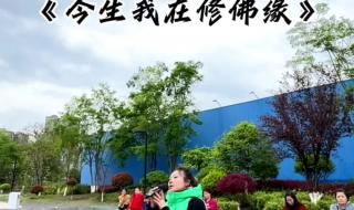 今生我在修佛缘原唱